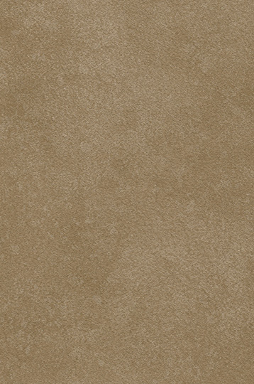 T2-MD-13